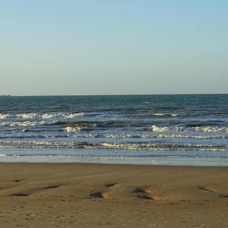 In Near The Marina * Nieuwpoort