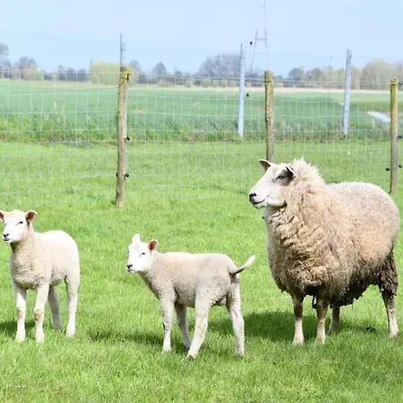 In Near The Marina *