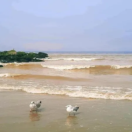 In Near The Marina Apartamento Nieuwpoort