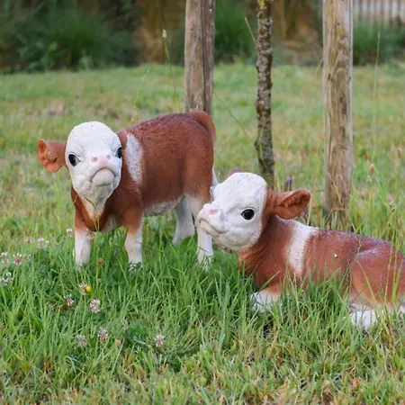 In Near The Marina Nieuwpoort